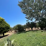 Olive House Near The Sea Charokopio