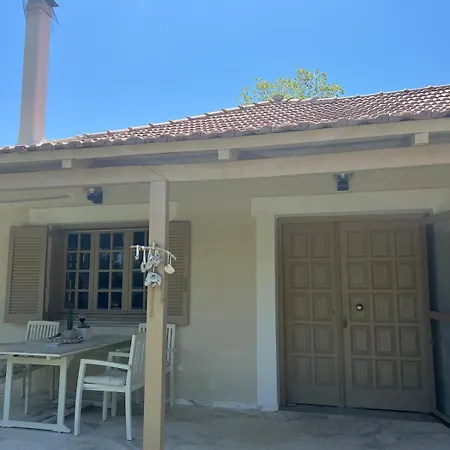 Olive House Near The Sea