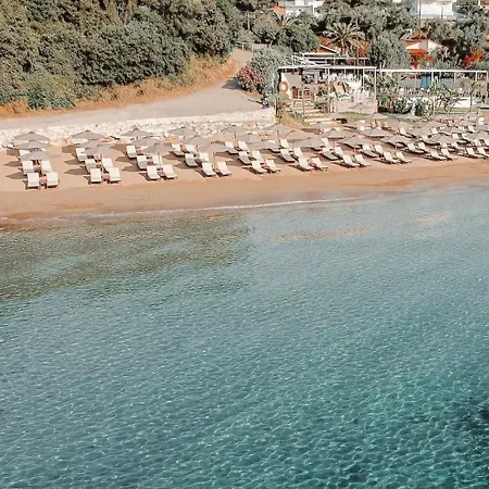 Olive House Near The Sea 펜션 Charokopio