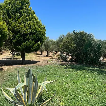 Olive House Near The Sea *