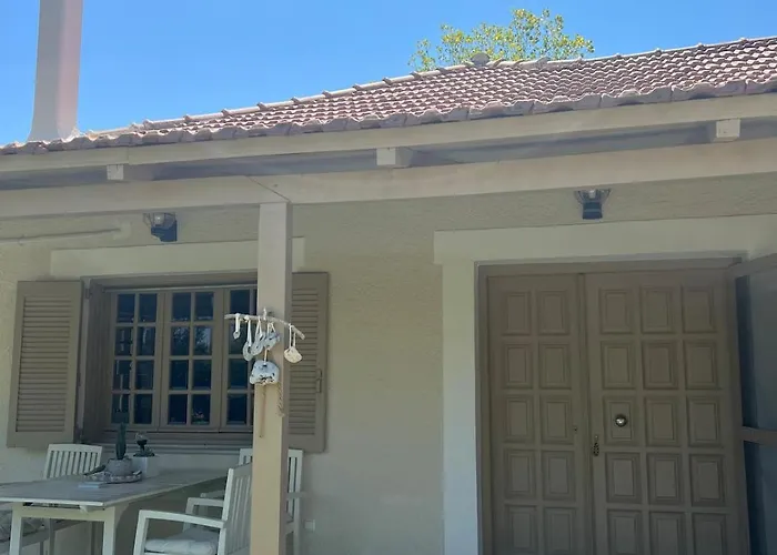 Olive House Near The Sea