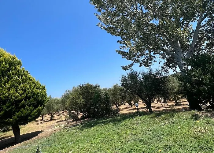 Olive House Near The Sea Charokopio